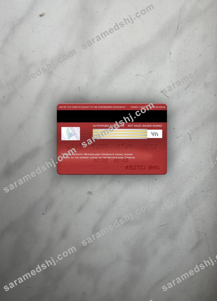 Netherlands Citibank visa classic card photolook back